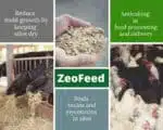 Zeofeed® - Ενεργοποιημένος ζεόλιθος έως 50 μικρά – Εξαιρετικά λεπτή πούδρα, ιδανική για κτηνοτροφική χρήση με πιστοποίηση FAMIQS - 25 κιλά