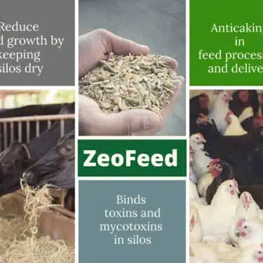 Zeofeed® - Ενεργοποιημένος ζεόλιθος έως 50 μικρά – Εξαιρετικά λεπτή πούδρα, ιδανική για κτηνοτροφική χρήση με πιστοποίηση FAMIQS - 25 κιλά