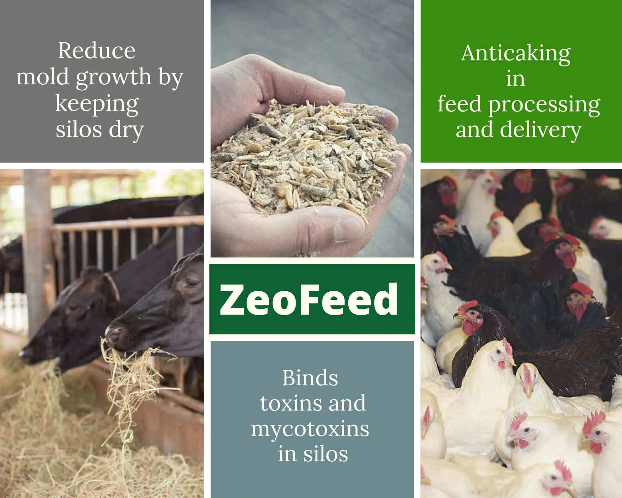 Zeofeed® - Ενεργοποιημένος ζεόλιθος έως 50 μικρά – Εξαιρετικά λεπτή πούδρα, ιδανική για κτηνοτροφική χρήση με πιστοποίηση FAMIQS - 25 κιλά