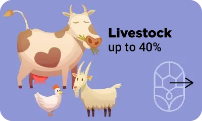 Certified natural zeolite and diatomite for livestock – up to 40% off
