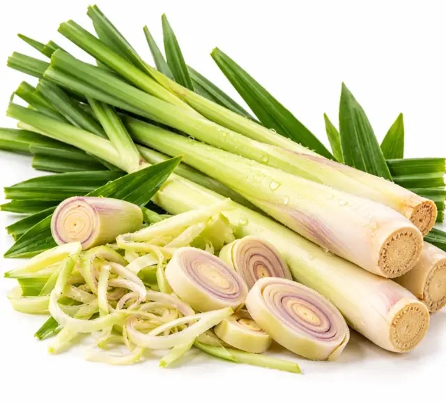 Lemongrass