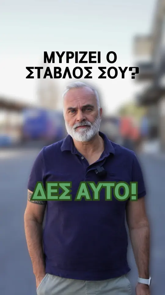 Τον χειμώνα, που οι στάβλοι παραμένουν κλειστοί και ο αερισμός είναι…